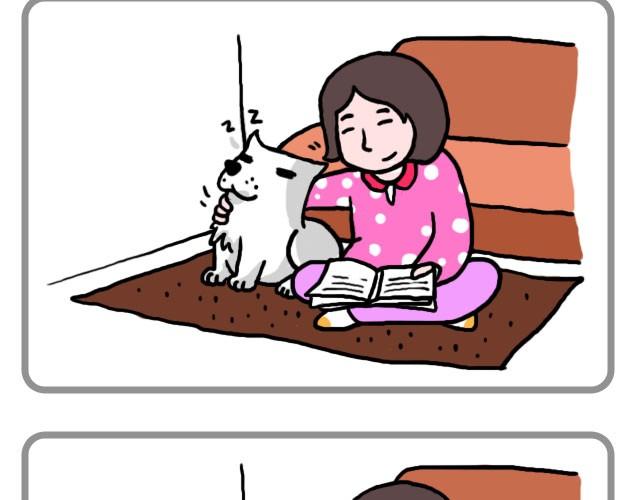 你不知道的事14