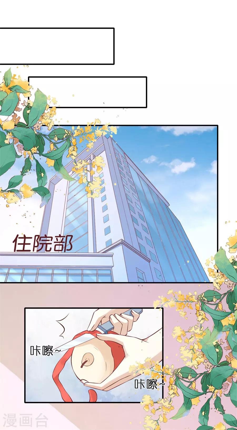 第269话 爱的奇迹19