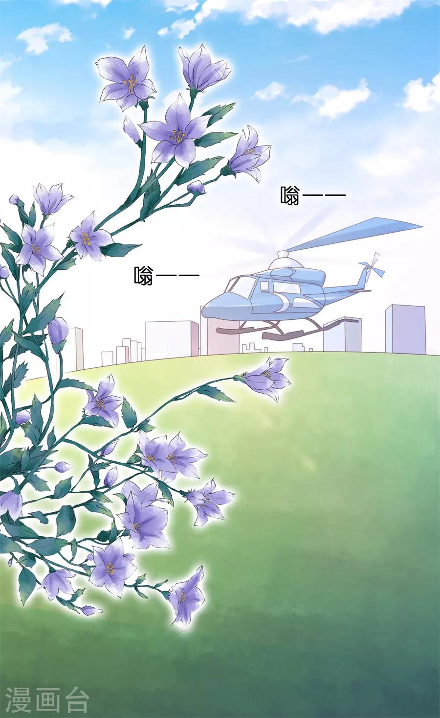 第275话 蜜月旅行15