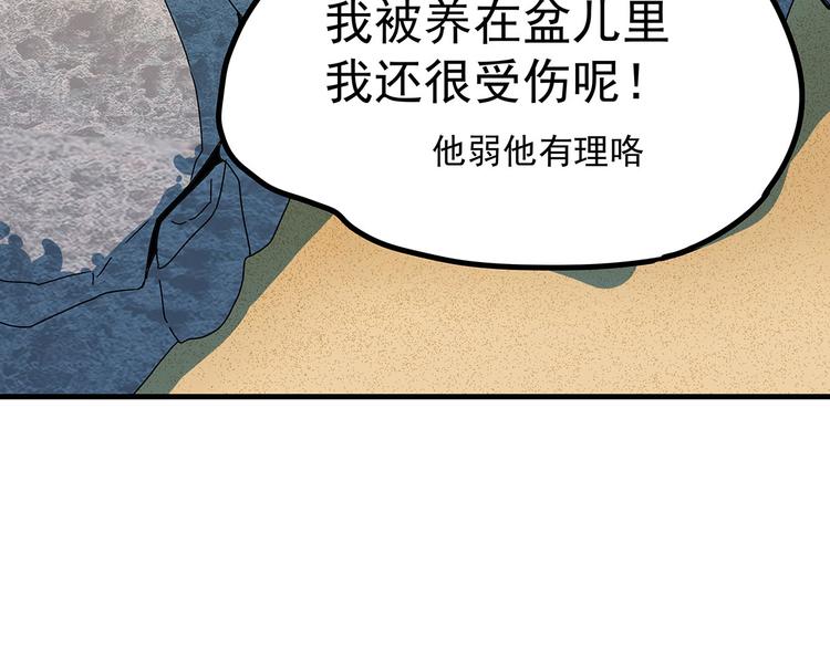 02 毕竟本仙这么帅100