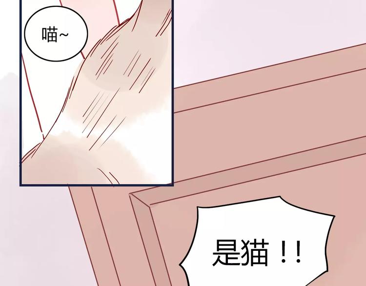 第10话 撸猫光环？11
