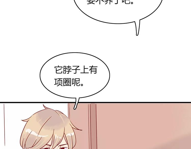 第10话 撸猫光环？49