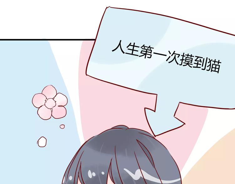 第10话 撸猫光环？22