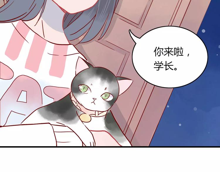 第11话 超美星空裙11