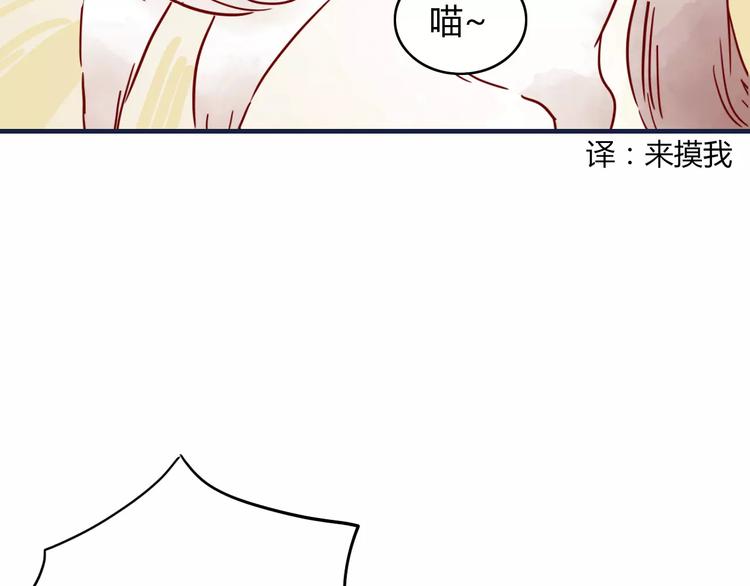 第10话 撸猫光环？17