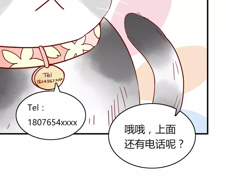 第10话 撸猫光环？52