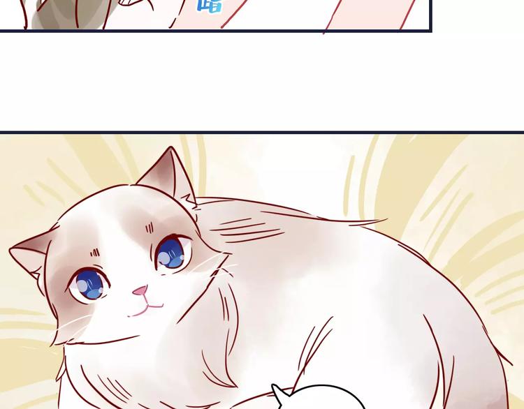 第10话 撸猫光环？16
