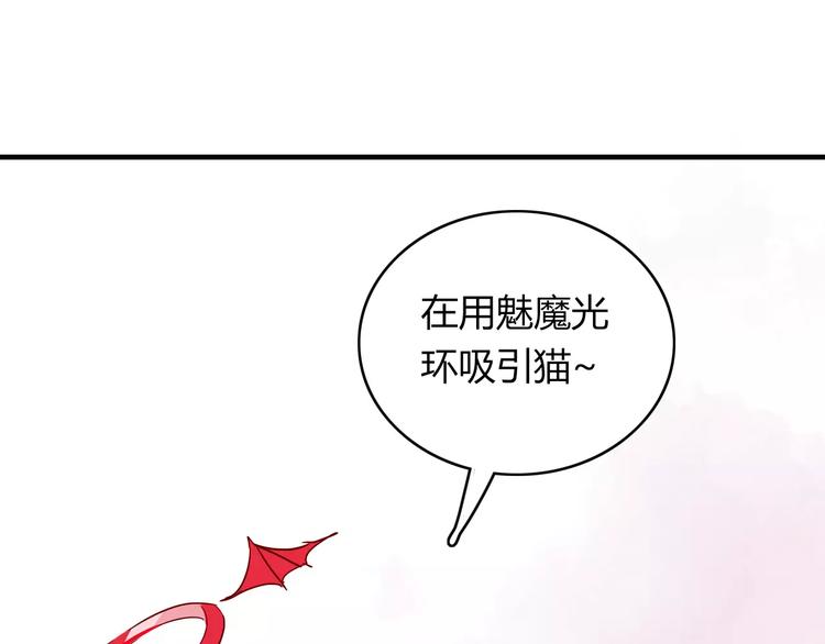 第10话 撸猫光环？32