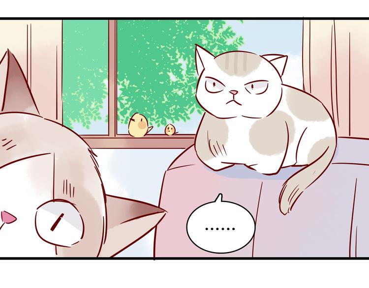 第41话  重逢我爱39