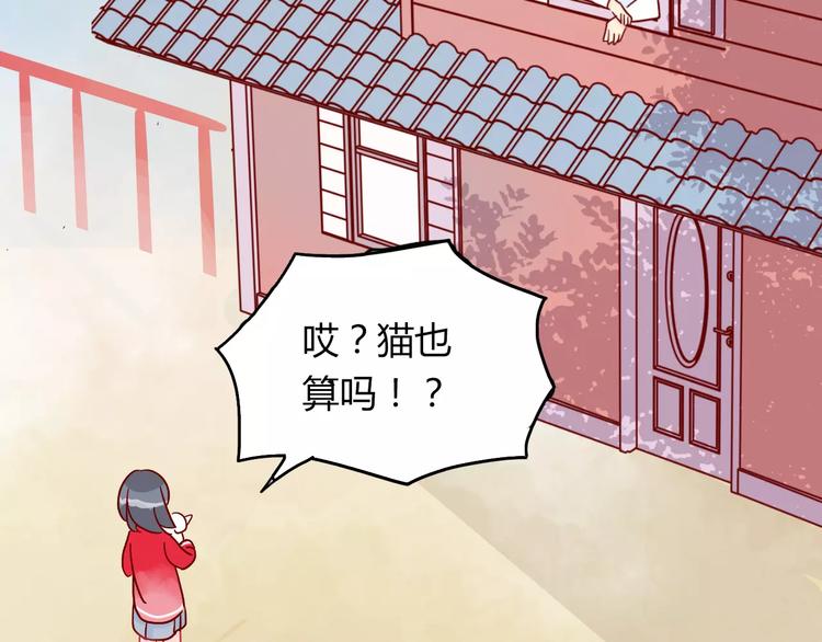 第10话 撸猫光环？39