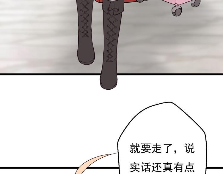 完结篇 期待更美好的相遇4