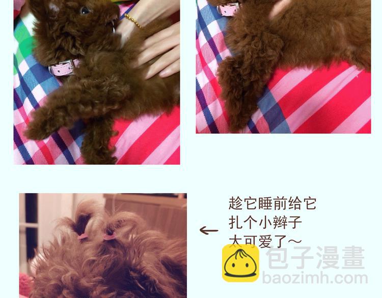 番外 萌萌三小只的日常2