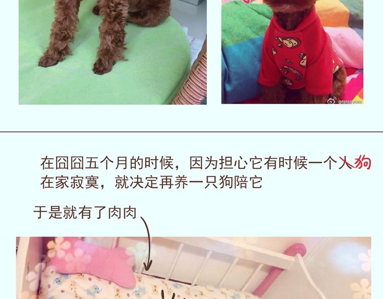 番外 萌萌三小只的日常5