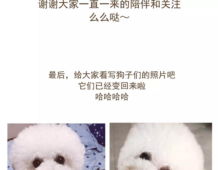 完结篇 重新开始34