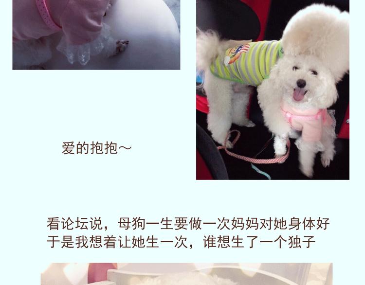 番外 萌萌三小只的日常18
