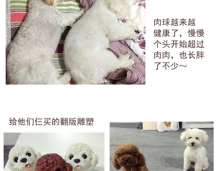 番外 萌萌三小只的日常38