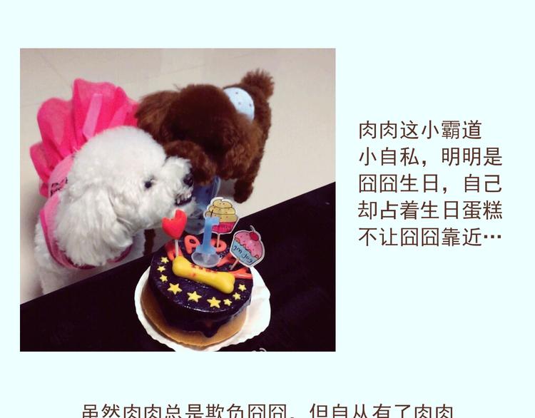 番外 萌萌三小只的日常14