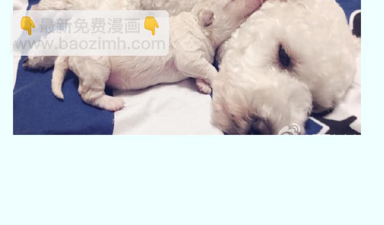 番外 萌萌三小只的日常24