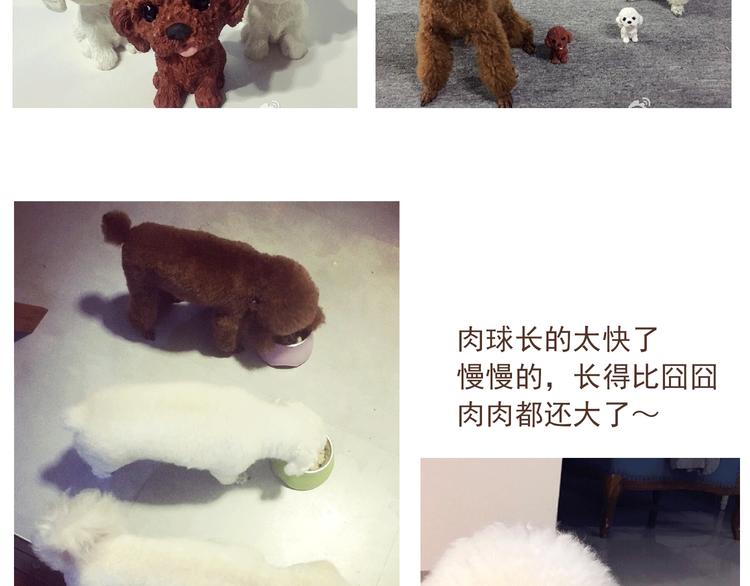 番外 萌萌三小只的日常39
