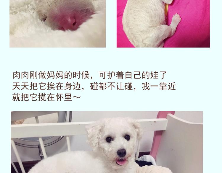 番外 萌萌三小只的日常21