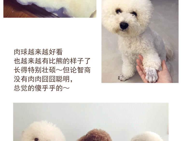 番外 萌萌三小只的日常40