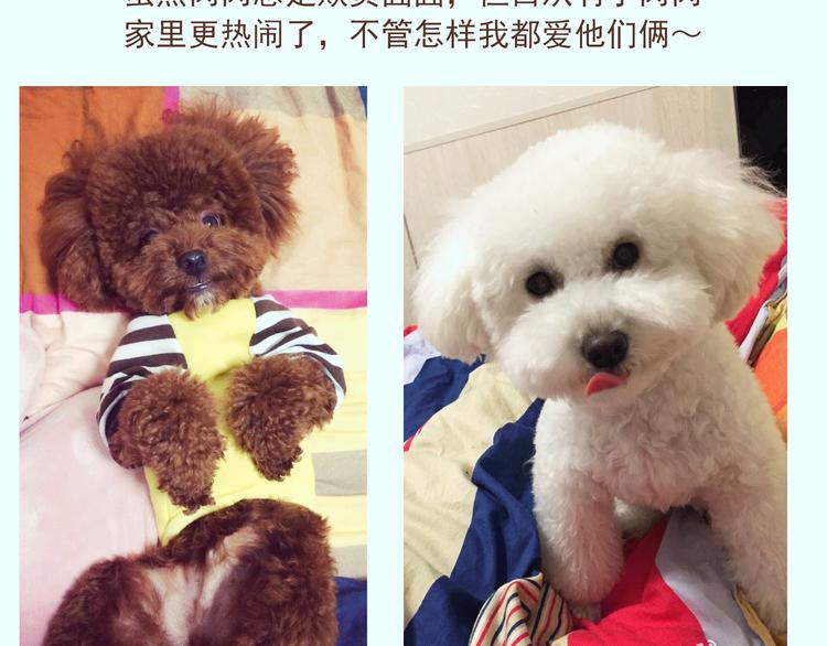 番外 萌萌三小只的日常15