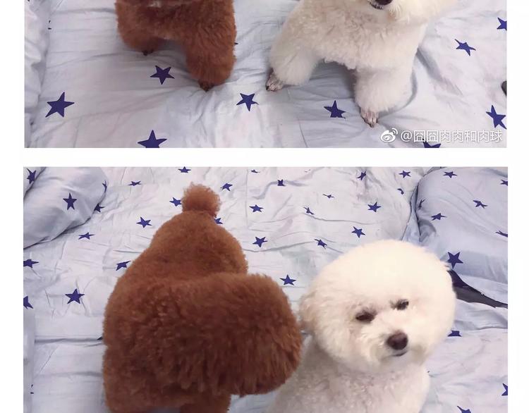 完结篇 重新开始36