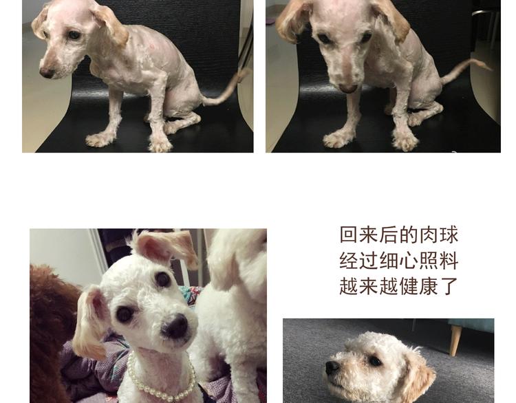 番外 萌萌三小只的日常35