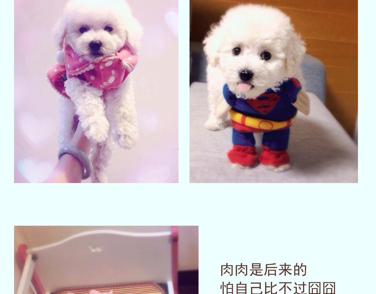 番外 萌萌三小只的日常10