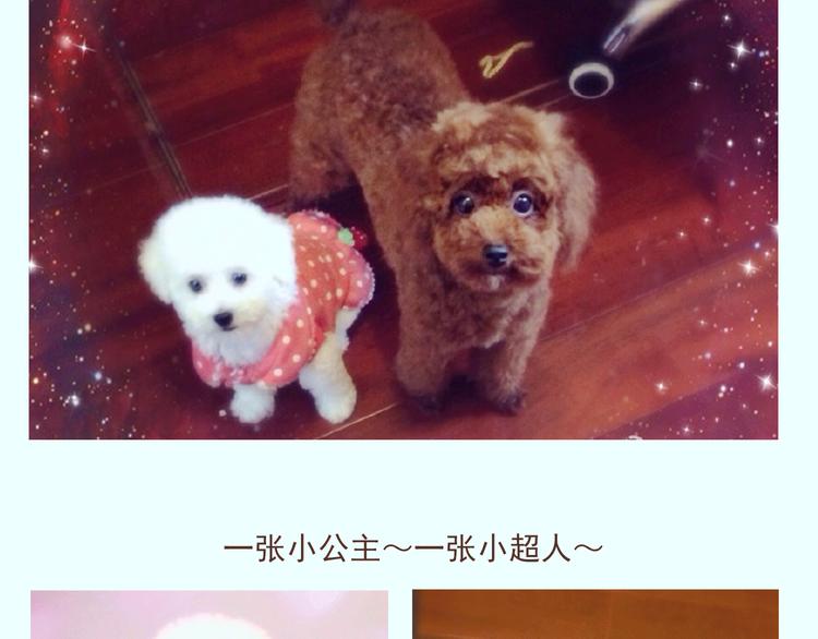 番外 萌萌三小只的日常9