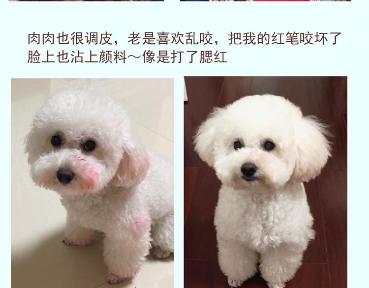 番外 萌萌三小只的日常16