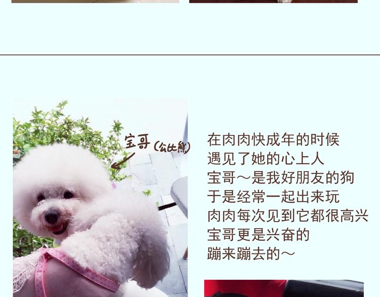 番外 萌萌三小只的日常17