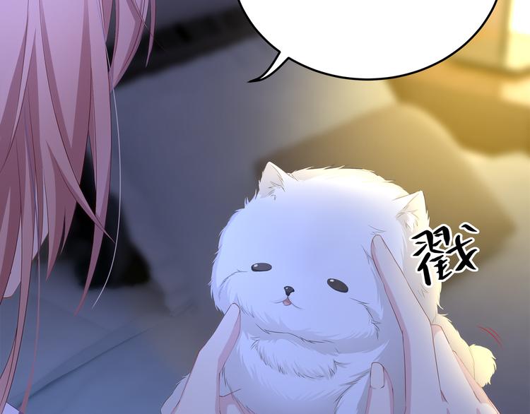 第4话 朱砂痣与白月光7