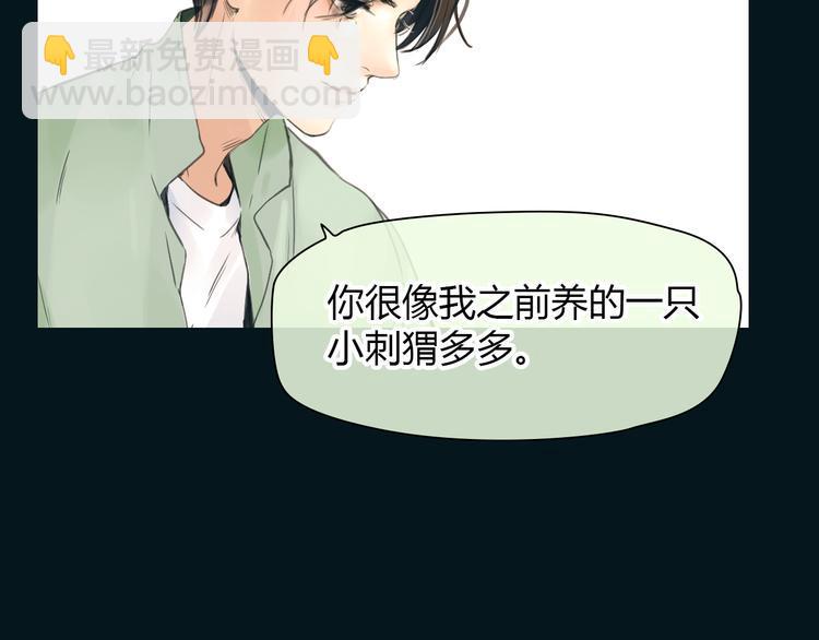 完结篇 他乡变故乡16