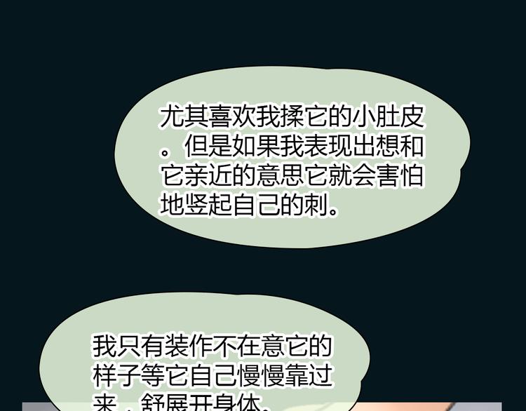 完结篇 他乡变故乡21