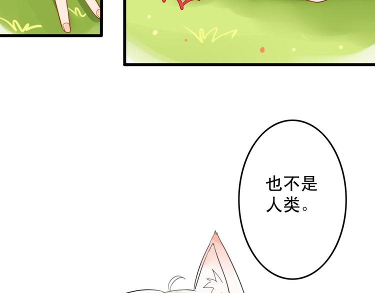 第1+2话  狐狸睡醒了81
