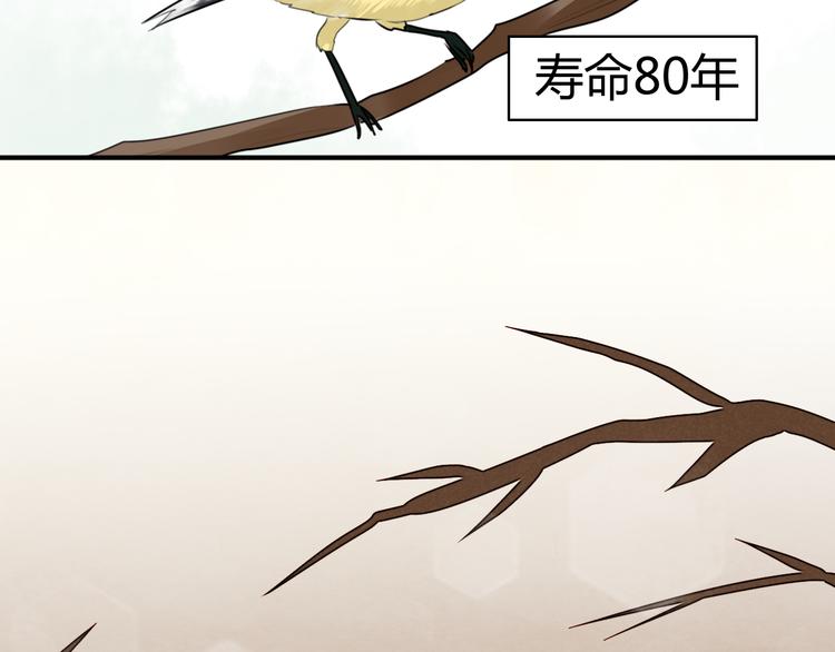 第14话 狮子宫长的过去（一）32