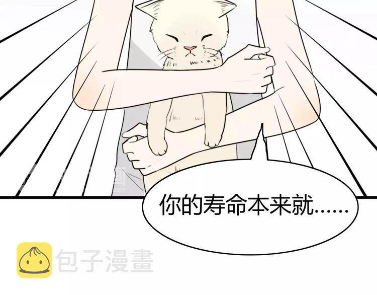 第15话 狮子宫长的过去（二）22