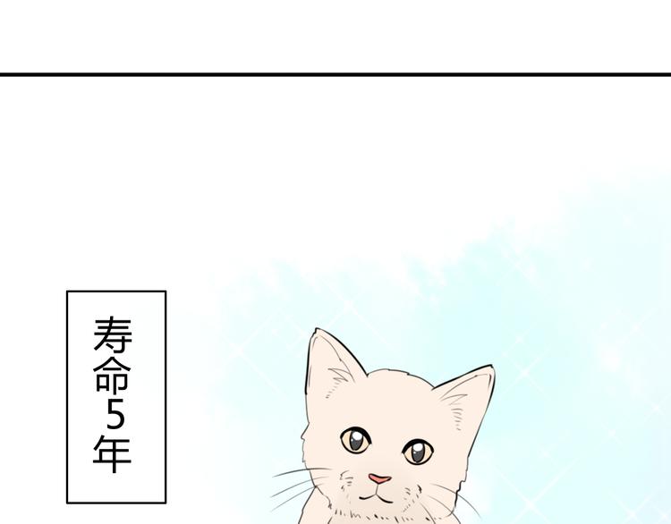 第14话 狮子宫长的过去（一）45