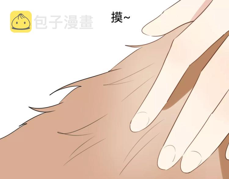 第53话  狐狸的心24