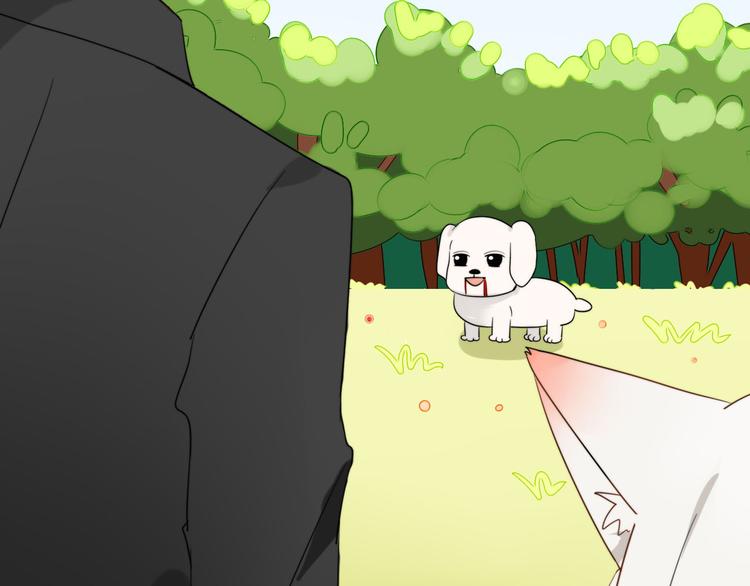 第1+2话  狐狸睡醒了100