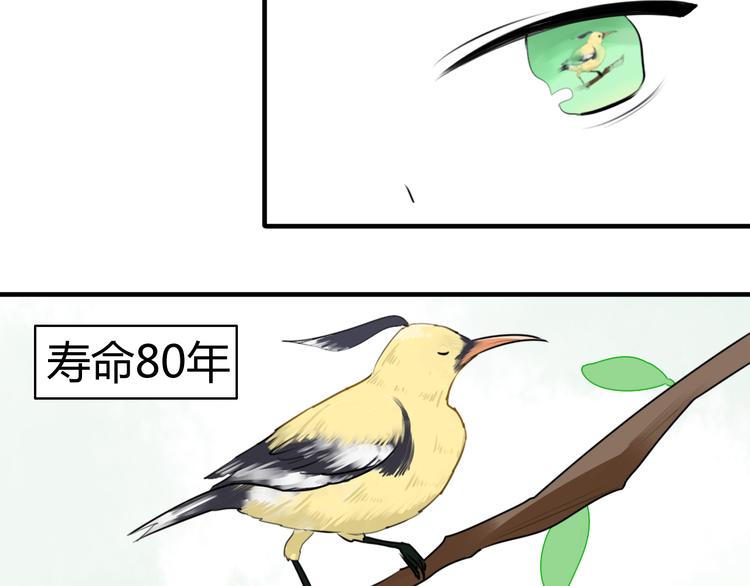 第14话 狮子宫长的过去（一）40