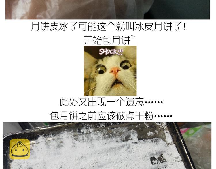 仙女的冰皮月饼18