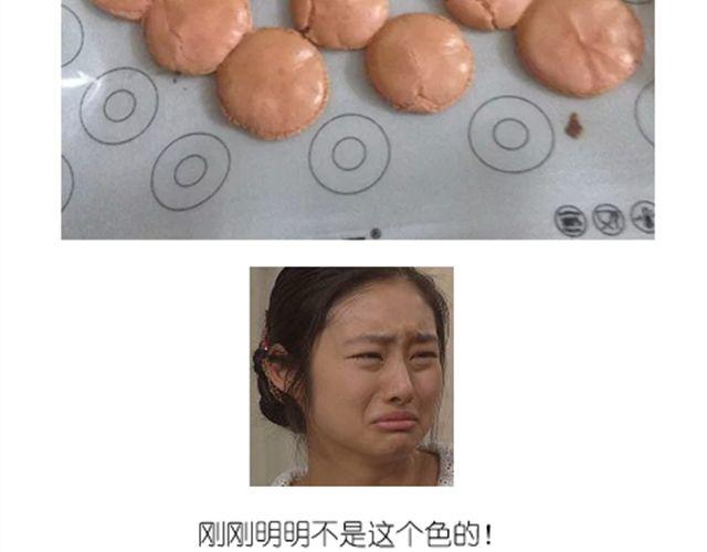 法式马卡龙16