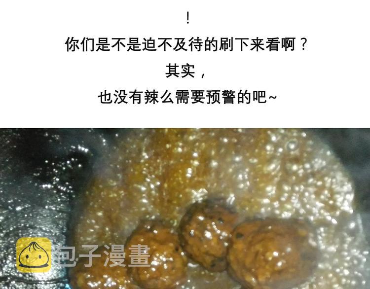 红烧狮子头26