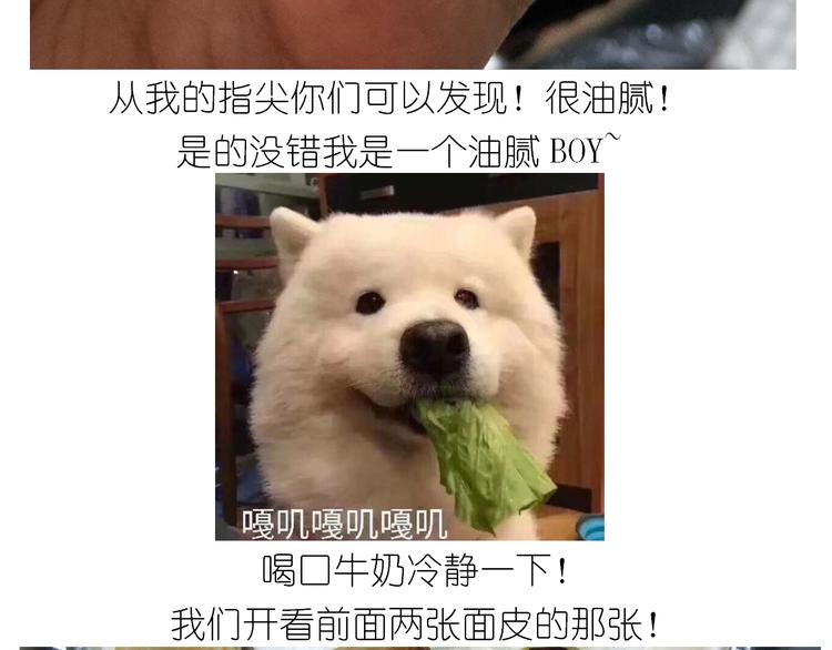仙女肉月饼28