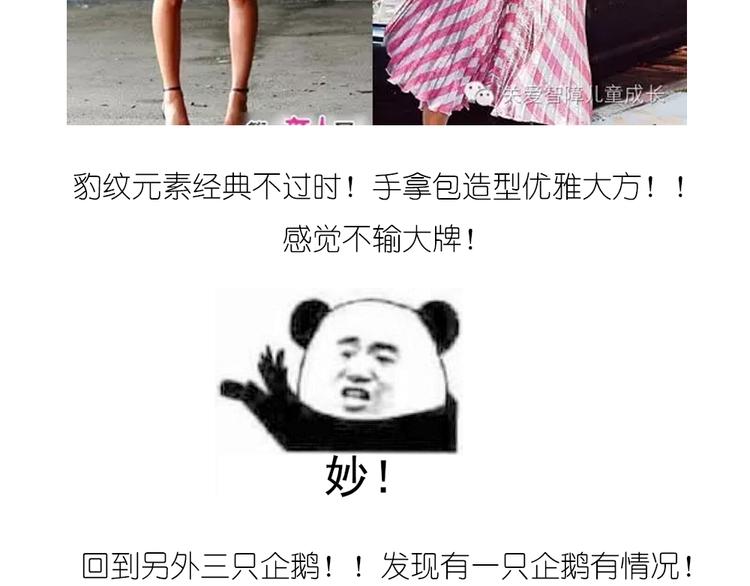 企鹅面包18