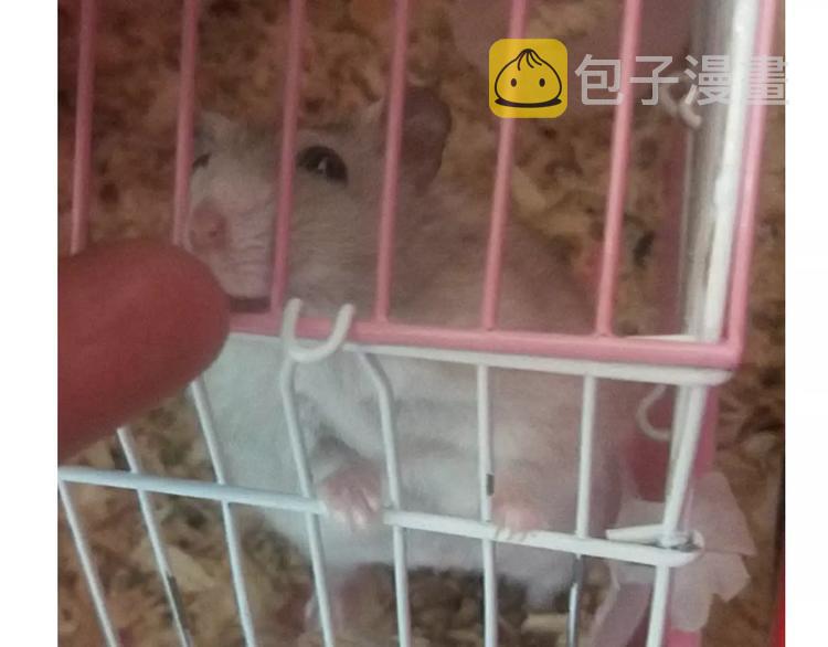 仙女的蛋包面19