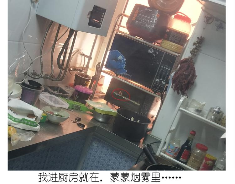 仙女的罗马盾饼干34