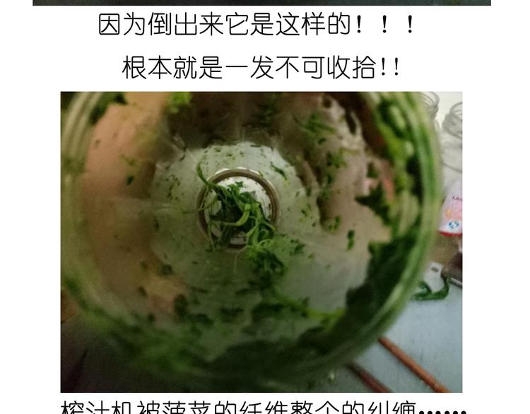 菠菜饼9